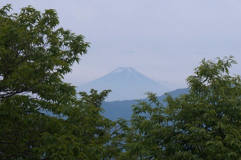 DSC01893