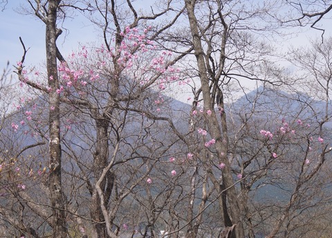 DSC01256