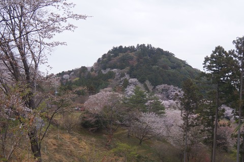 DSC00629