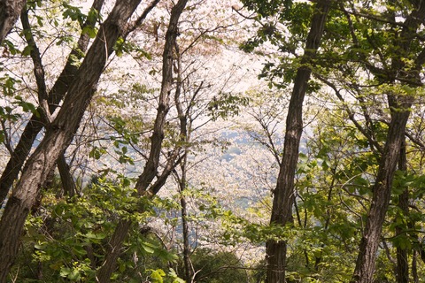 DSC01030