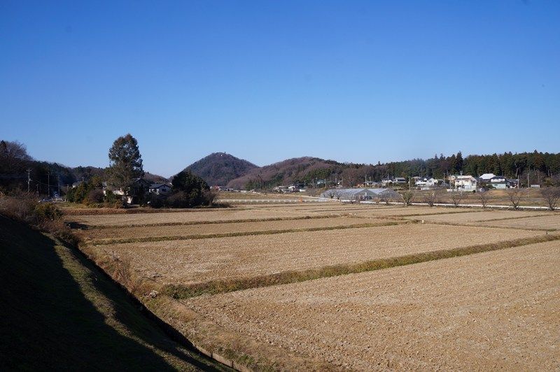イメージ 16
