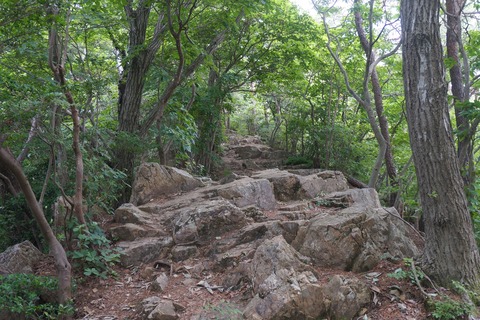 DSC07646