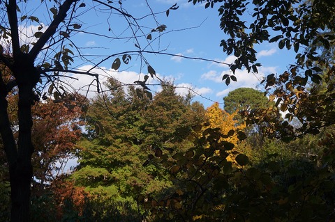DSC08708