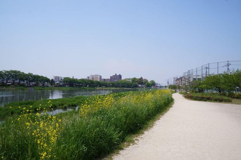 イメージ 14