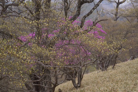DSC01621