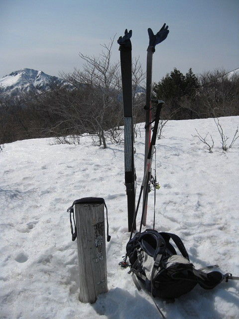 イメージ 19