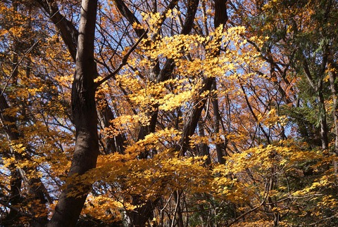 DSC09640