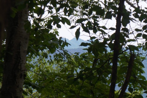 DSC01900