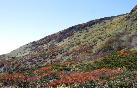 DSC08042