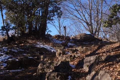 DSC09340