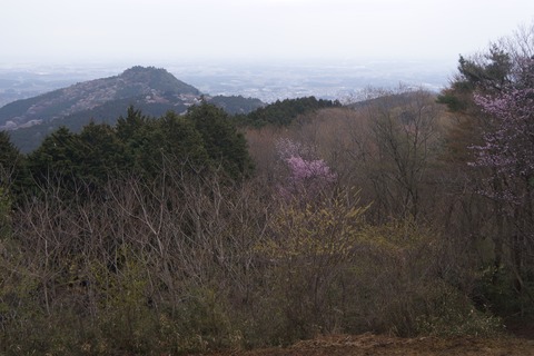 DSC00612