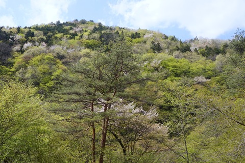 DSC01445