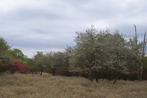 DSC01654