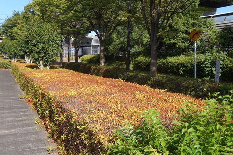 DSC02323
