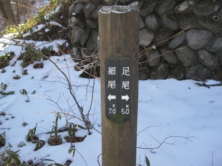 イメージ 14