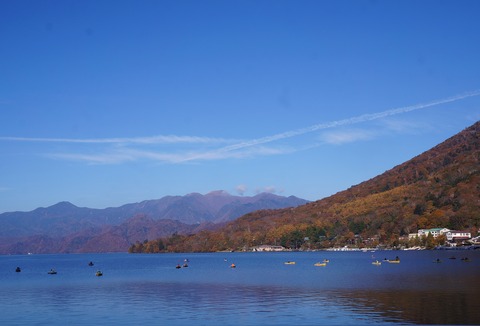 DSC08170