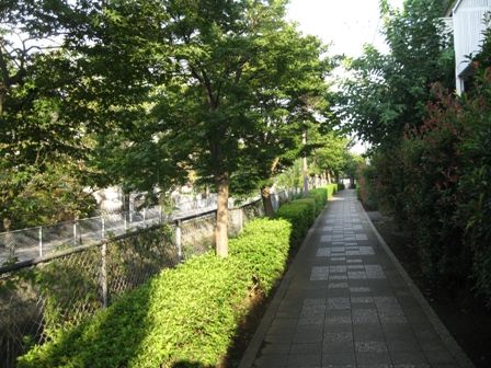 イメージ 6