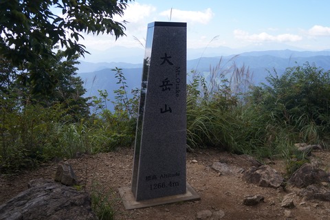 DSC07894