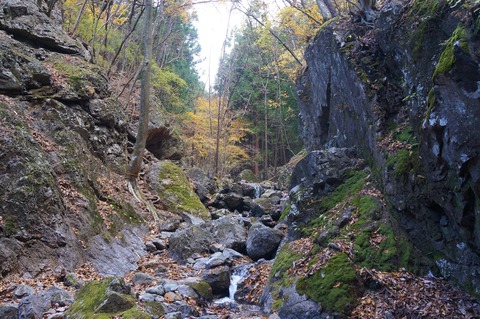DSC09097