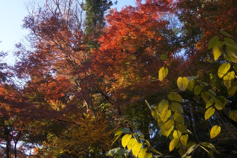 DSC04051