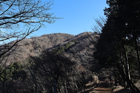 IMG_8884 - コピー