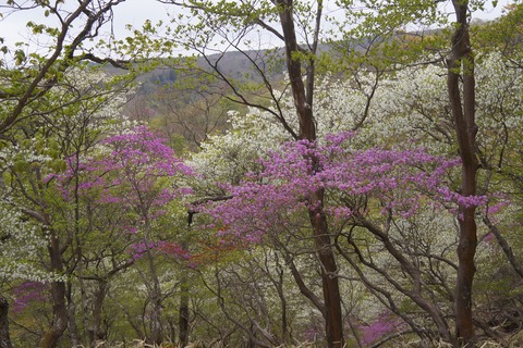 DSC01605
