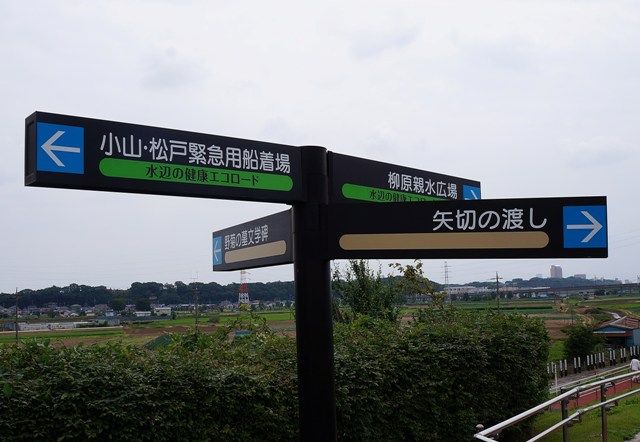 イメージ 11