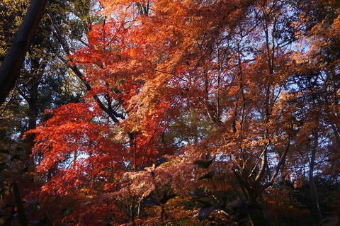 DSC09091