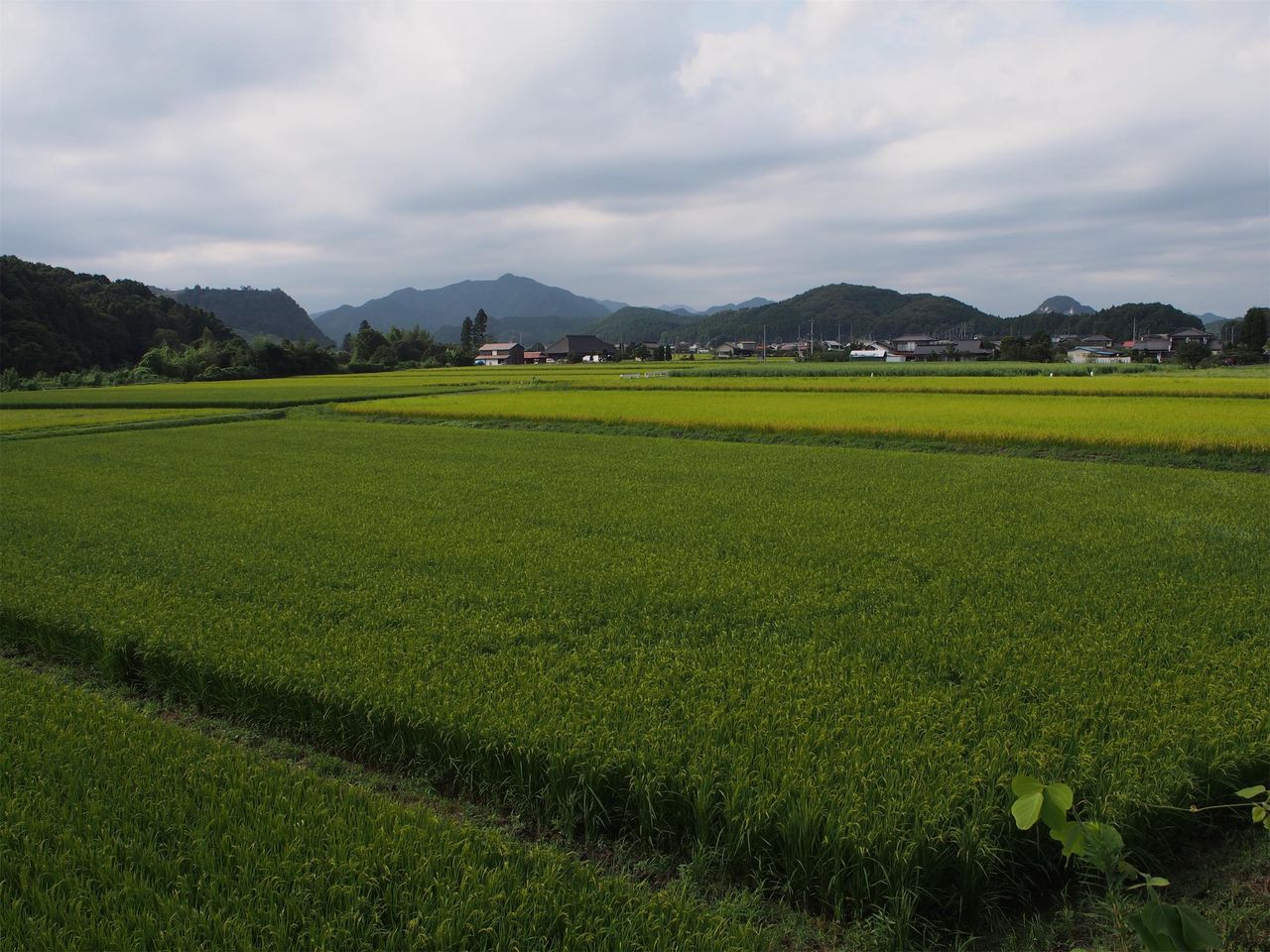 出会いの森総合公園オートキャンプ場に行きました ２０１７夏 家族でゆるゆるアウトドア