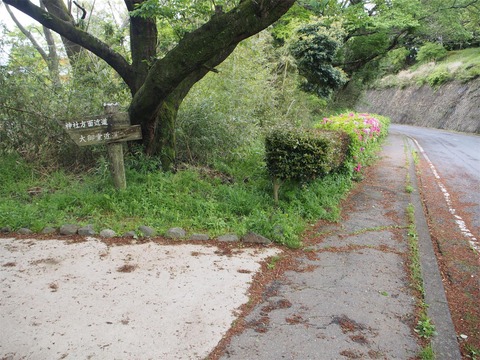 P4290209