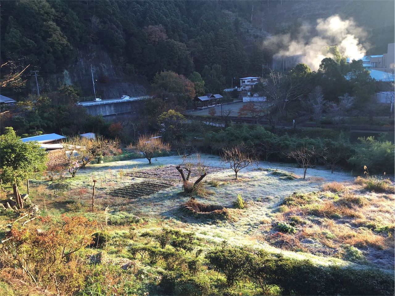 奥 休暇 武蔵 村