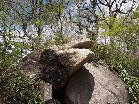 P4290274