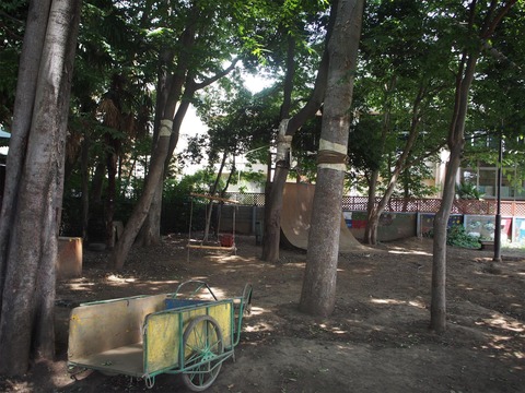 P6030235