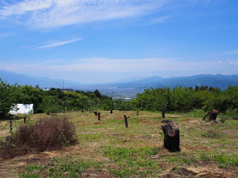 P6180291