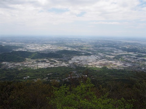 P4290256