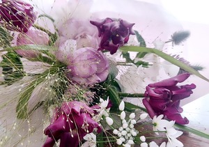 IMG_20260216_111122_570