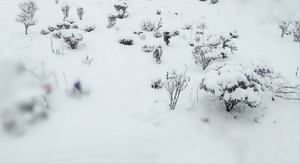 Point Blur_20260208_073628