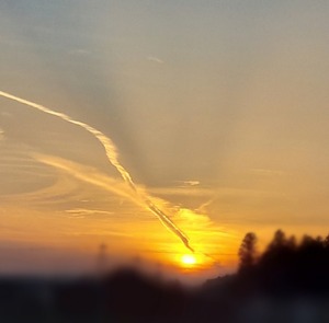 20210212_090109