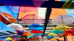 IMG_20240630_080101_880