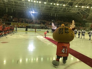 nikko20180303 (5)