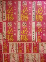 IMGP2971