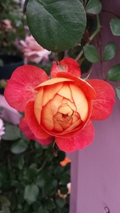 20160514_121717