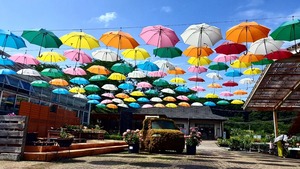 IMG_20240630_080101_609