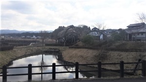 那須 (1)