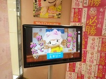 IMGP2977