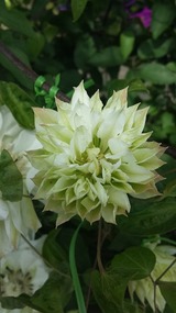 20140503_134235