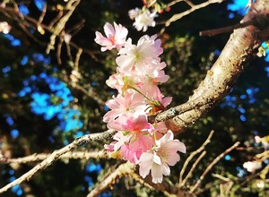 IMG_20221114_133211_714