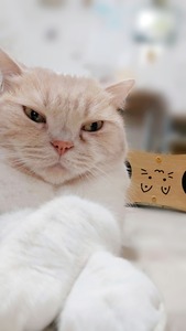 Point Blur_20251224_095832