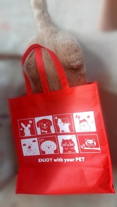 Point Blur_20260102_130019