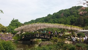 20140503_134410